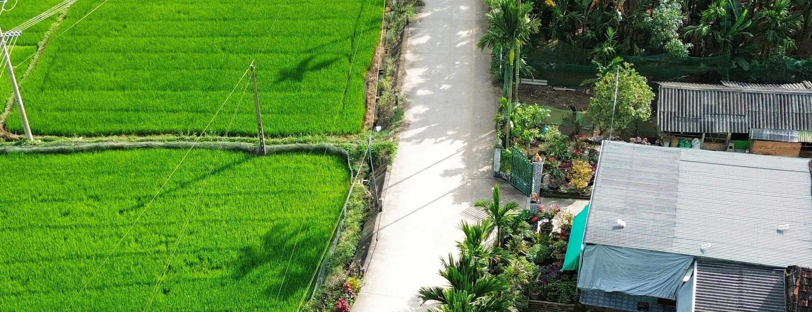 Làng quê và cánh đồng nhìn từ trên cao