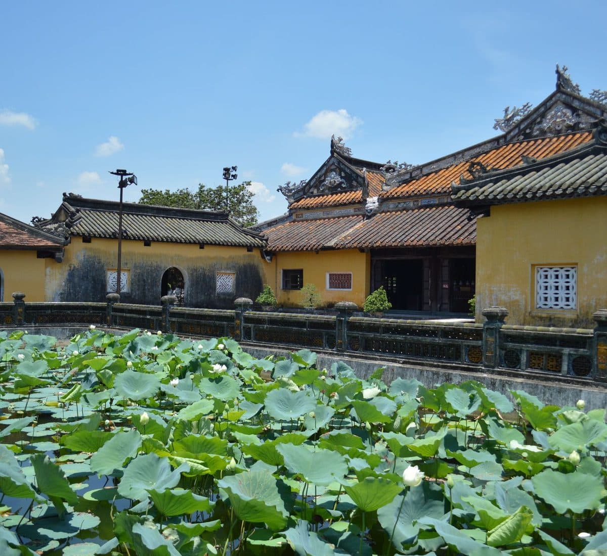 Đầm sen trước nhà cổ
