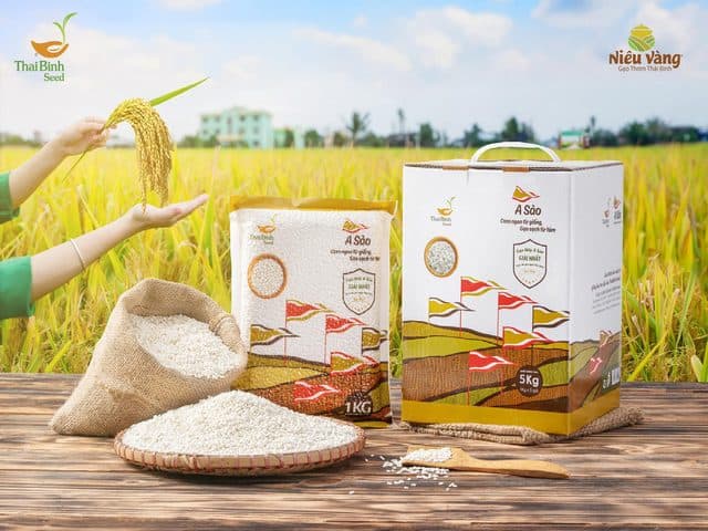Gạo ThaiBinh Seed