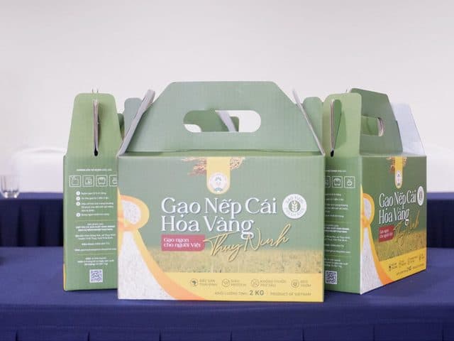 Gạo nếp cái hoa vàng Thụy Ninh